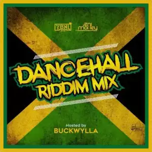 DJ Enimoney - Dancehall Riddim MIx